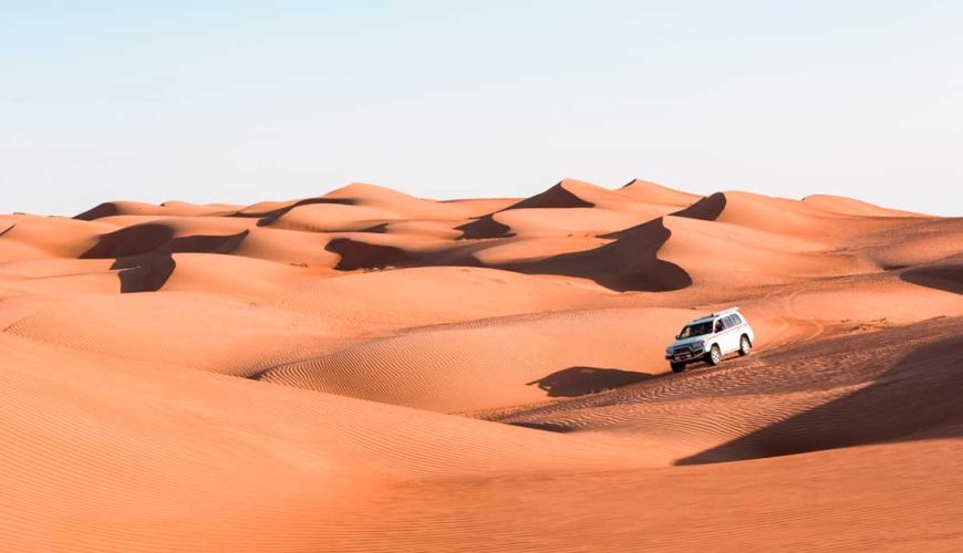 Desert Safari