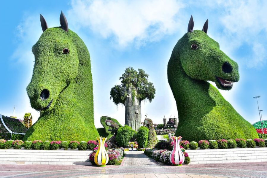 Miracle Garden Dubai