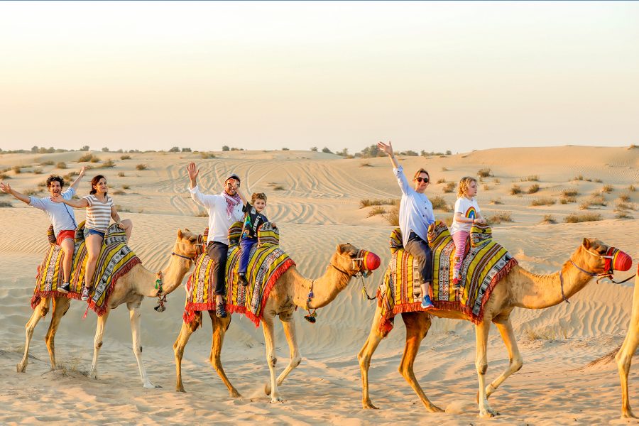 Evening Premium Desert Safari with BBQ Dinner & Shared Transfers