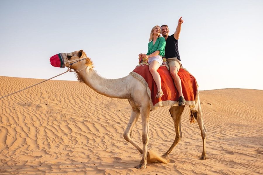 Evening Desert Desert Safari with BBQ Dinner – Private transfer