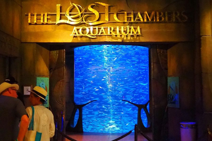 Lost World Aquarium Dubai